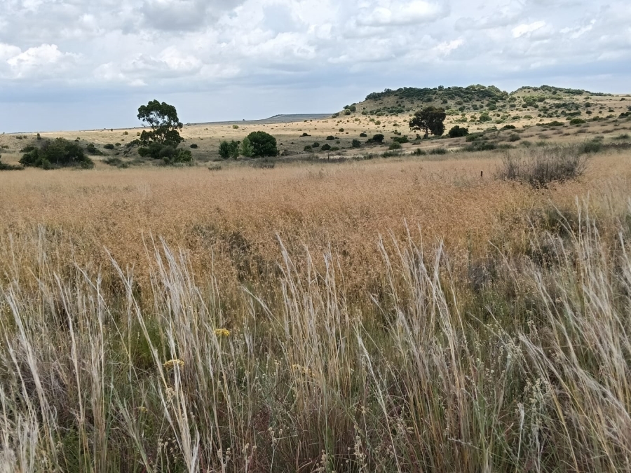 0 Bedroom Property for Sale in Lindley Rural Free State